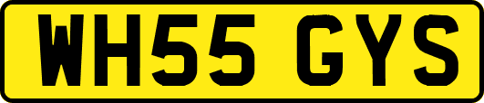 WH55GYS