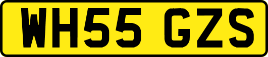 WH55GZS