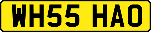WH55HAO