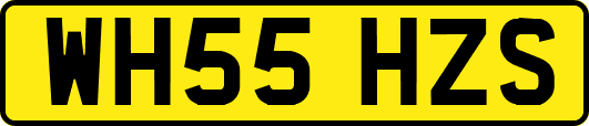 WH55HZS