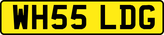 WH55LDG