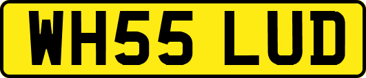 WH55LUD