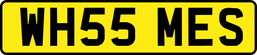 WH55MES