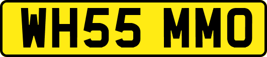 WH55MMO