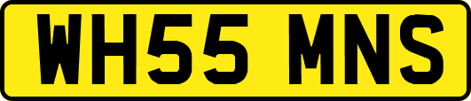 WH55MNS