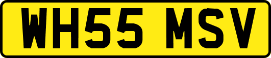 WH55MSV