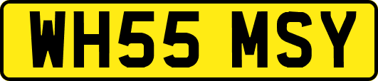 WH55MSY
