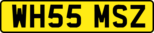 WH55MSZ