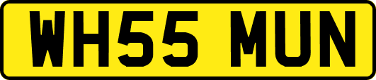 WH55MUN