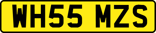 WH55MZS