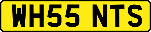 WH55NTS