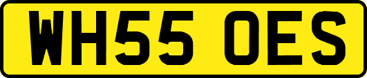 WH55OES