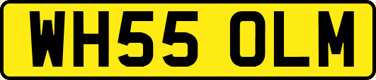 WH55OLM