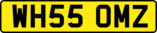 WH55OMZ