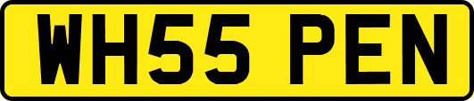 WH55PEN