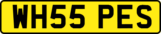 WH55PES