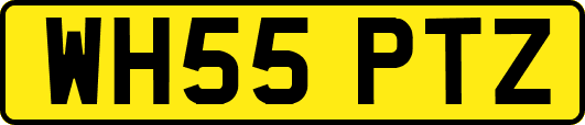 WH55PTZ