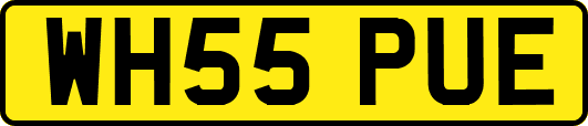 WH55PUE
