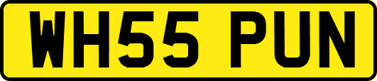 WH55PUN