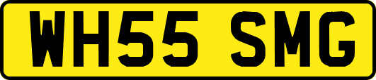 WH55SMG