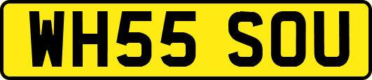 WH55SOU
