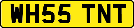 WH55TNT