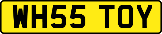 WH55TOY