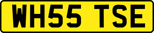 WH55TSE