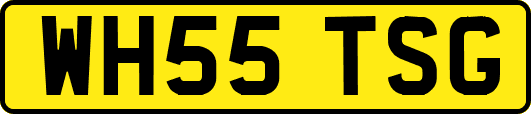 WH55TSG