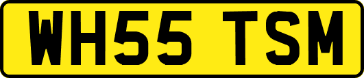WH55TSM