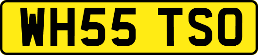 WH55TSO