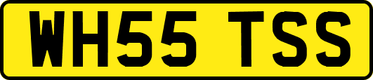 WH55TSS