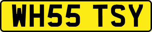 WH55TSY