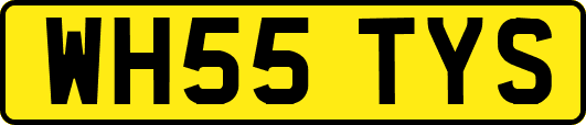 WH55TYS