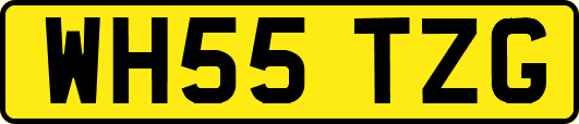 WH55TZG