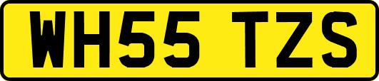 WH55TZS