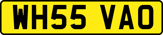 WH55VAO