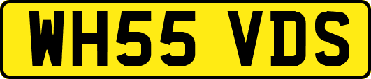 WH55VDS