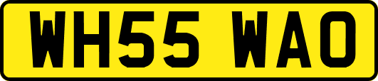 WH55WAO