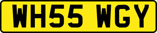 WH55WGY
