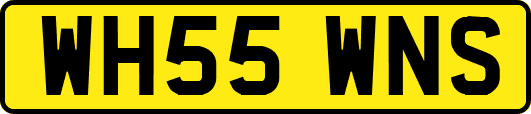 WH55WNS