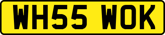 WH55WOK