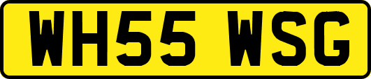 WH55WSG