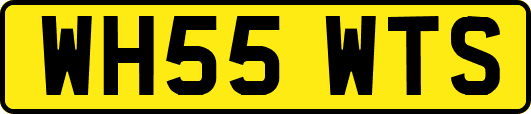 WH55WTS