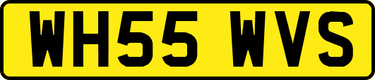 WH55WVS