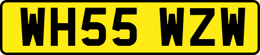 WH55WZW