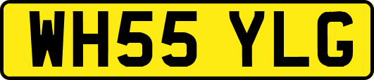 WH55YLG