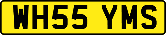 WH55YMS