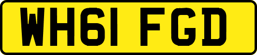WH61FGD