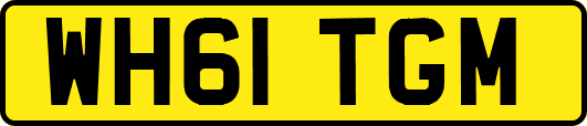 WH61TGM